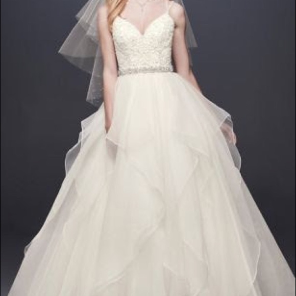 Wedding Dress size 10
DAVID'S BRIDAL COLLECTION No Train Garza Ball Gown